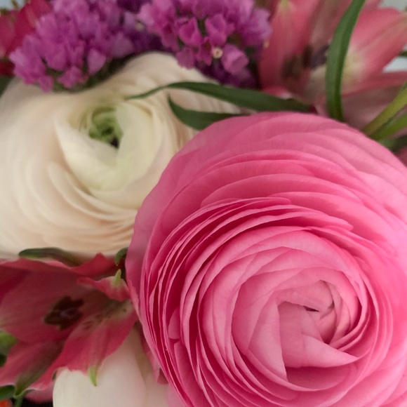 Meet your Posher, L - Picture 1 of 1